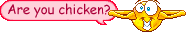 :r u chicken